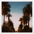 Retro Beginnings、flip flop - MP3 (feat. FlipFlop)