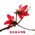 温光春、袁雪儿 - 铁血丹心