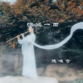 德唯奇 - 惊鸿一面