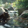 Follow the Breath Meditations、Nataural、Chanting Buddhist World - Meditation by the Meadow Stream and Birds