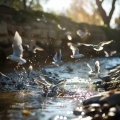 Meryl Sleep、Dao Nature、Wish on the Beat - Serene Birdsong and Water for Sleep