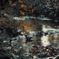 Sleep Therapist、Conscious Sound、Chanel Ward - Soothing Creek and Night Birds for Slumber
