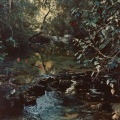 Nature Soundscape、Hidden Gems Nature、Apollo 440 - Mindful Serenity in Nature's Embrace