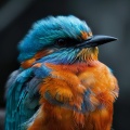 Relaxing Dog Sounds: Gentle Binaural Birds