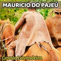 Mauricio do Pajeú - Fura Mato