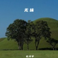 杜天宇 - 无味
