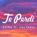 Te Perdí