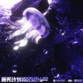 小老虎、MoonJellies - 一只僧帽水母在她头上