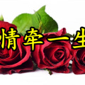 追梦 - 情牵一生