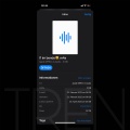 L1 (Explicit)