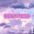 Ribe - Destino