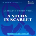 Sherlock Holmes、Sir Arthur Conan Doyle - Part 1 - Chapter 6.5