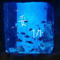 艾酱儿 - 妥协