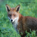 Chris Mercer - String Quartet No.1 in Am Claws