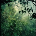 Música de jardinería、Lluvia De Primavera De Lisboa、Música alegre de la mañana - Las Suaves Duchas Traen Dulces Sueños