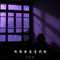 卢泽润 - 我想你是爱我的