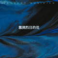 朴玮霖 - 簇拥烈日的花