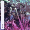 PURJ - Speak In Silence
