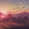 Daniel T. Coates - Color-Blind