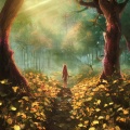 Into The Wilderness
