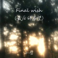 Final wish (最后的希望)