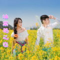 追梦 - 油菜花之恋