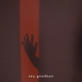 Say Goodbye