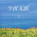 悠扬 - 大漠情歌