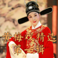 曲艺杂说 - 012 韩再芬黄梅戏舞台剧《女驸马》第四场状元府