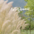 卡迪哥 - 往后我自由如风