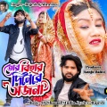 rajesh、Mira Das - Tor Bihar Dine Re Sajani