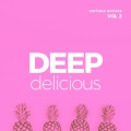 Deep Delicious, Vol. 2 (Explicit)