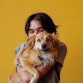 Ritmos Alegres: Música Ambiental Para Cachorros Juguetones