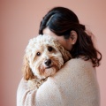 Zumbidos Curativos: Terapia De Música Binaural Para Mascotas