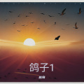赵奇 - 鸽子