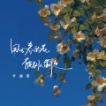 卡迪哥 - 用心养的花被别人偷走