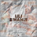 Skaine、Marlon265 - Ulibwanji (How are You?)