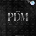 PDM (Explicit)