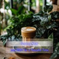 Fancy Star - Cafe Del Soul