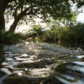 Therapeutic Water Sounds in Massage Music
