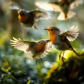 Nu Meditation Music、MYRS、Cozy Home - Serenity Wraps The Mind In Song