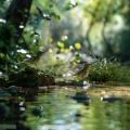 Relaxing Spaces、Zen That Beat、Nue - Nature’s Hands Soothe with Sound