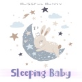 Blissful Bunny - Colors of the Wind