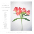 A23LAB. - survery