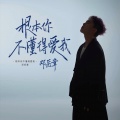 邓岳章 - 根本你不懂得爱我