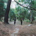 KOPA、Gael - Scomparirò (Explicit)