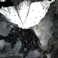 稀 - 下个路口，见