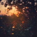 Fireflies at Dawn