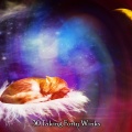 Sleep Sounds of Nature - Free Rest