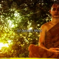 Very Calming Music - Stillness